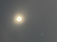 IMG_7967.jpg