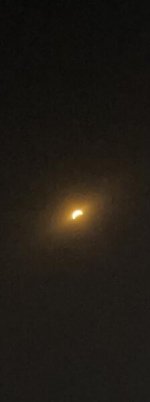 IMG_7946.jpg