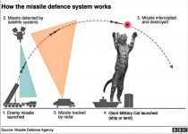 Cat Missile Defense.jpg