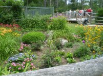 GrayAnimalPark (16).jpg