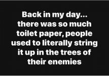 toilet paper.jpg
