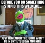Stupid.jpg