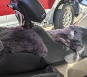 Ikea sheep skin.jpg