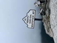 IMG_0881.jpg