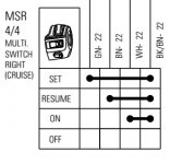 MSR.jpg