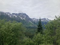 IMG_4458.jpg