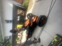 IMG_5265.jpg