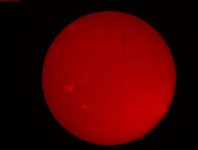 2024May1HalphaFullDiskSunProcessed 01.jpg