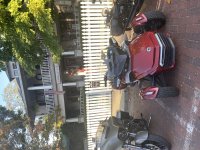 IMG_8751.jpg