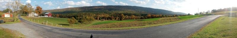 IMG_20241013_165108629.jpg