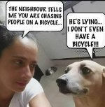 Chasing people.jpg