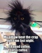 Lotsa coffee.jpg