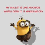 wallet like an onion.jpg