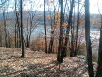 IMG_20241118_132042688.jpg