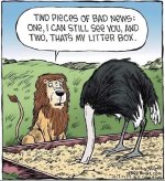 Litter box.jpg