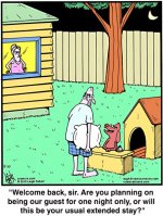 dog hotel.jpg