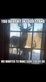 in your stand.jpg