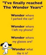 Wonder years.jpg