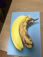 IMG_1705.jpeg