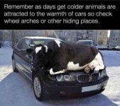 IMG_8936.jpeg