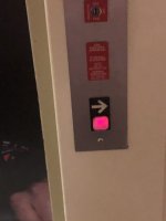IMG_8683.jpeg
