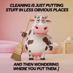 Cleaning cant find.jpg