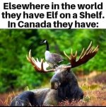 image_0B4D2282-E8AF-43C1-A728-6B710A3AB391.jpeg
