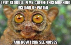 IMG_9341.jpeg