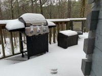 snow 1:10:25.JPG