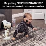 representative.jpg