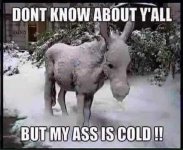 Cold ass.jpeg