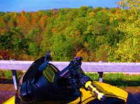 fall foliage 022.jpg