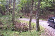 100_3108.jpg 100_3108.jpg