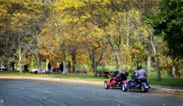 foliage-2012-spyder-2.jpg