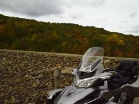 Fall 001.jpg