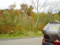 Fall 005.jpg