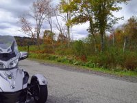 Fall 007.jpg