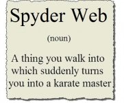 Spyder Web.jpg