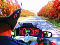 Reflections of fall in Missouri - We took a ride to see the colors. This is on Hwy 19 outside of Cuba, Missouri