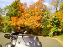 Fall4 001.jpg