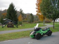 Fall Image 1.jpg