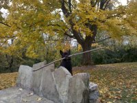 IMG_20121019_134430.jpg