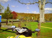 Fall6 001.jpg