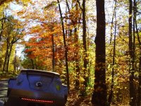 Fall6 002.jpg
