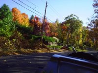 Fall6 006.jpg