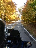 IMG_0378.jpg