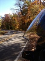 IMG_0381.jpg