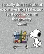 grocery trip.jpg