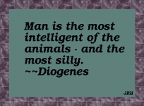 Diogenes-01.gif