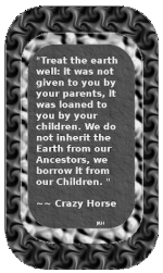 CrazyHorse-01.gif
